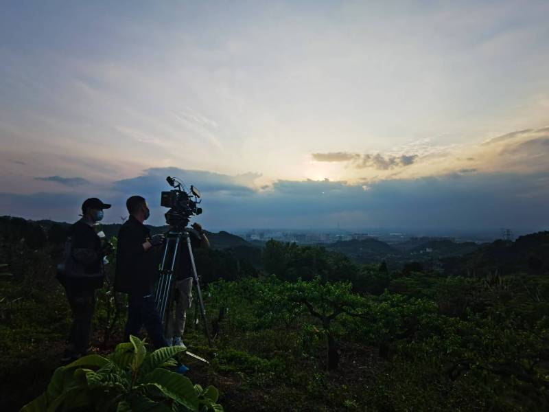 聚焦通许县产品宣传视频拍摄公司，用专业实力铸就品牌传播传奇